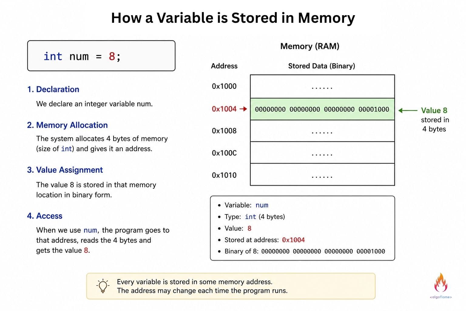 how a variable is stored in memory